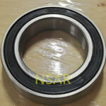 6010 Bearing