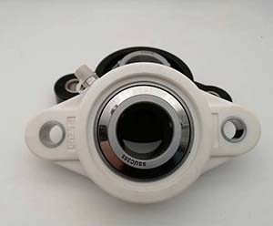 China Plastic Pillow Block Bearing